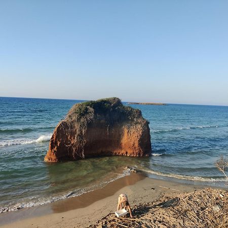 דירות La Violetta אוסטוני מראה חיצוני תמונה